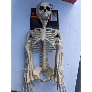 Halloween 3 ft Poseable Skeleton Bones Decor Decoration‎ NWT